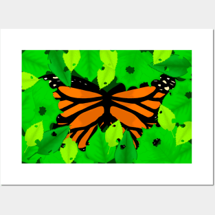 Beautiful Butterfly Posters and Art